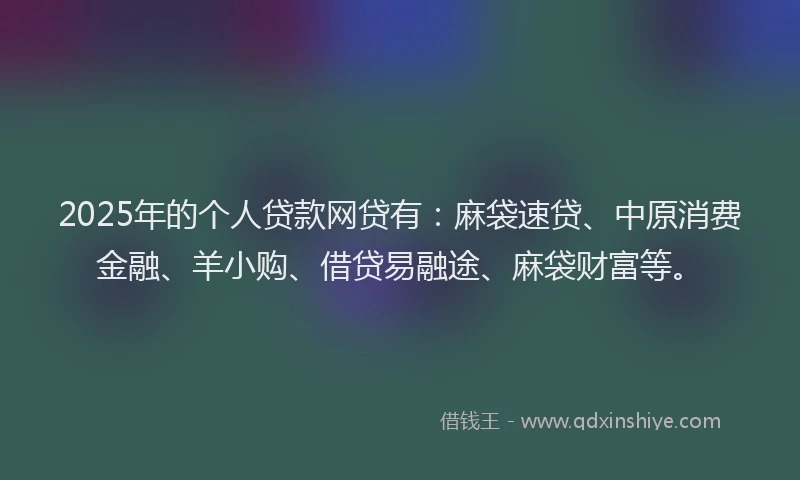 2025年的个人贷款网贷有：麻袋速贷、中原消费金融、羊小购、借贷易融途、麻袋财富等。