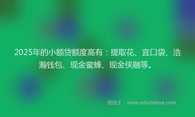 2025年的小额贷额度高有：提取花、宜口袋、浩瀚钱包、现金蜜蜂、现金侠融等。