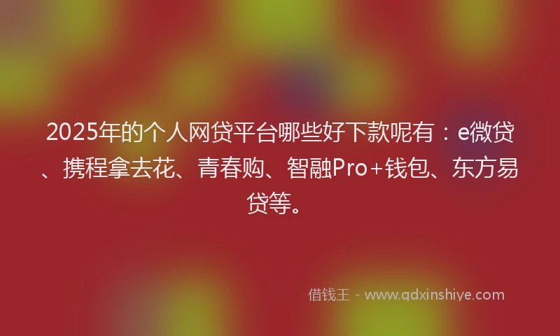 2025年的个人网贷平台哪些好下款呢有：e微贷、携程拿去花、青春购、智融Pro+钱包、东方易贷等。