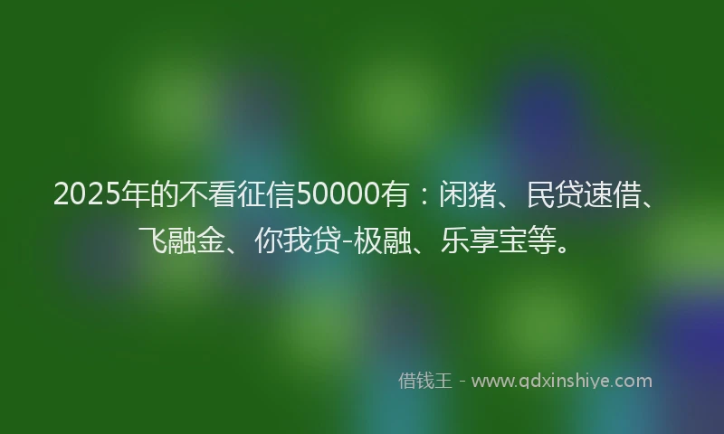 2025年的不看征信50000有：闲猪、民贷速借、飞融金、你我贷-极融、乐享宝等。