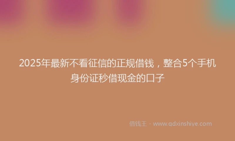 2025年最新不看征信的正规借钱，整合5个手机身份证秒借现金的口子