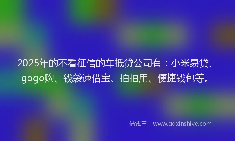 2025年的不看征信的车抵贷公司有：小米易贷、gogo购、钱袋速借宝、拍拍用、便捷钱包等。