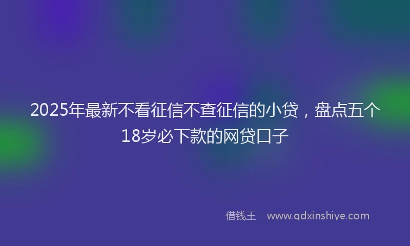 2025年最新不看征信不查征信的小贷，盘点五个18岁必下款的网贷口子