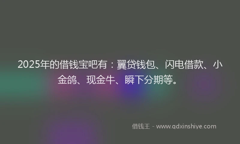 2025年的借钱宝吧有：翼贷钱包、闪电借款、小金鸽、现金牛、瞬下分期等。