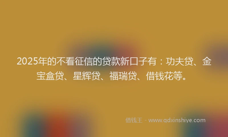 2025年的不看征信的贷款新口子有：功夫贷、金宝盒贷、星辉贷、福瑞贷、借钱花等。