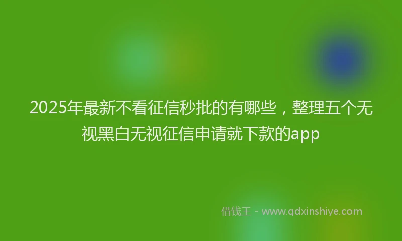 2025年最新不看征信秒批的有哪些，整理五个无视黑白无视征信申请就下款的app