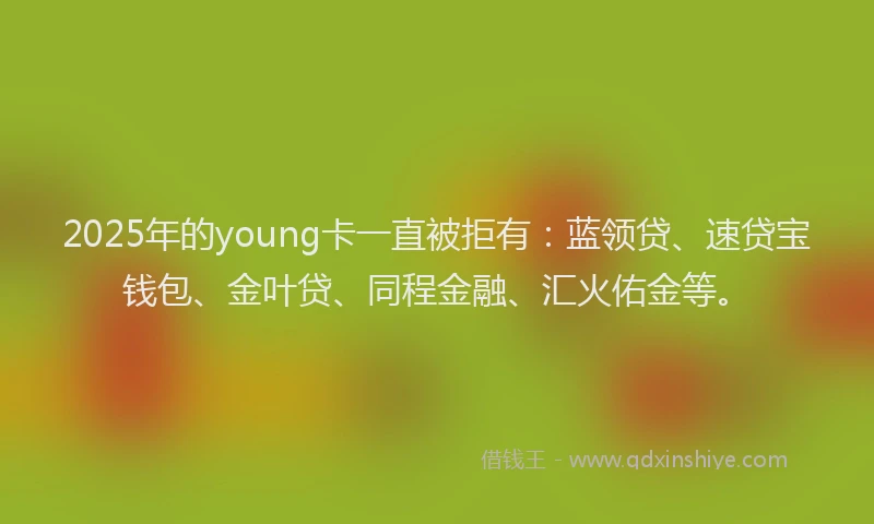 2025年的young卡一直被拒有：蓝领贷、速贷宝钱包、金叶贷、同程金融、汇火佑金等。