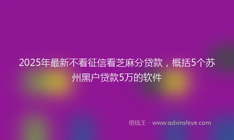 2025年最新不看征信看芝麻分贷款，概括5个苏州黑户贷款5万的软件