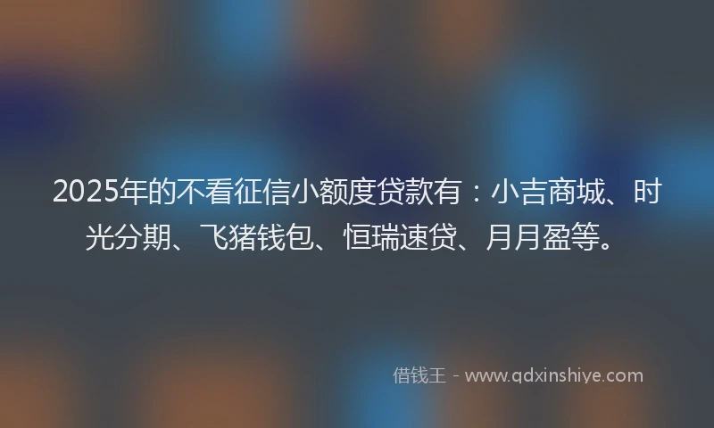 2025年的不看征信小额度贷款有：小吉商城、时光分期、飞猪钱包、恒瑞速贷、月月盈等。