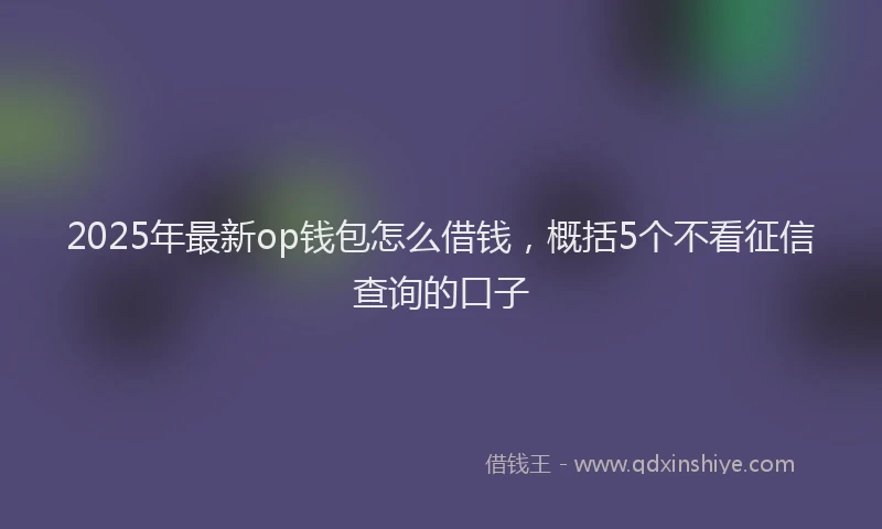 2025年最新op钱包怎么借钱，概括5个不看征信查询的口子