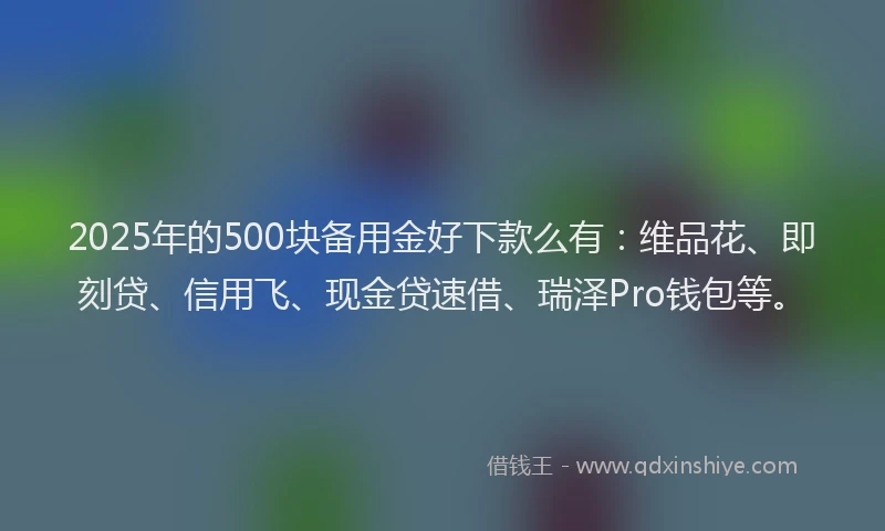2025年的500块备用金好下款么有：维品花、即刻贷、信用飞、现金贷速借、瑞泽Pro钱包等。