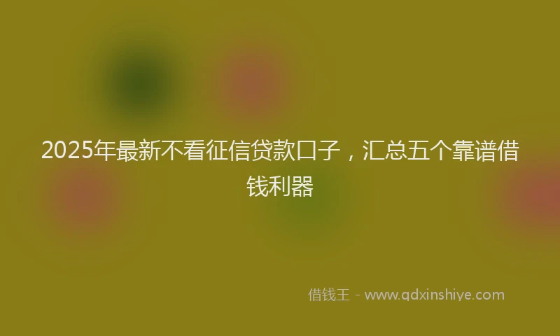 2025年最新不看征信贷款口子，汇总五个靠谱借钱利器