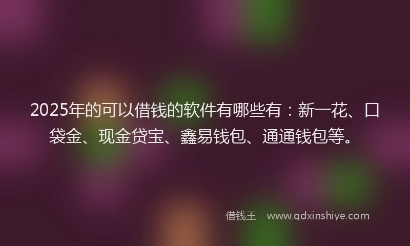 2025年的可以借钱的软件有哪些有：新一花、口袋金、现金贷宝、鑫易钱包、通通钱包等。