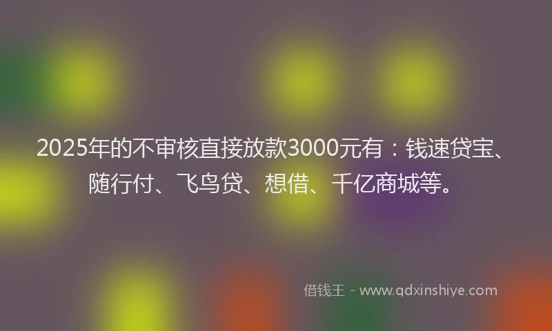 2025年的不审核直接放款3000元有：钱速贷宝、随行付、飞鸟贷、想借、千亿商城等。