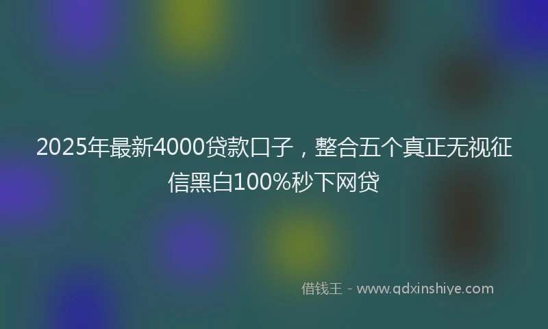 2025年最新4000贷款口子，整合五个真正无视征信黑白100%秒下网贷