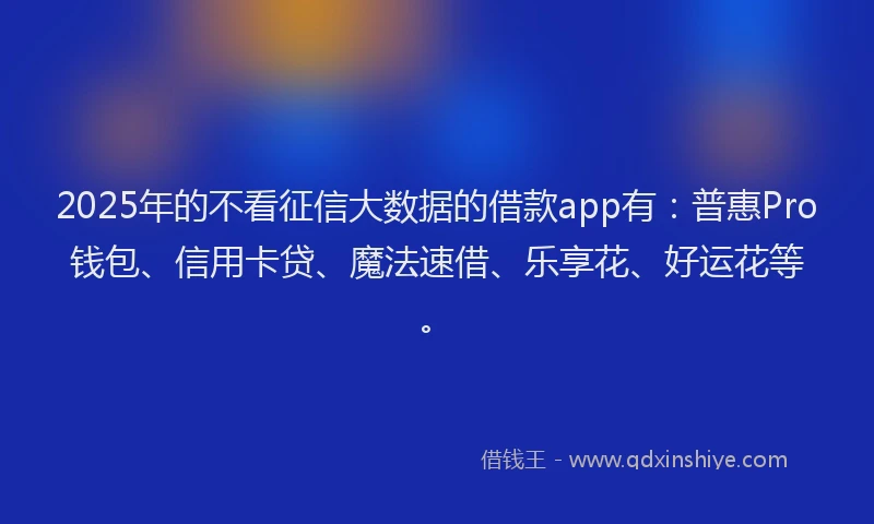 2025年的不看征信大数据的借款app有：普惠Pro钱包、信用卡贷、魔法速借、乐享花、好运花等。