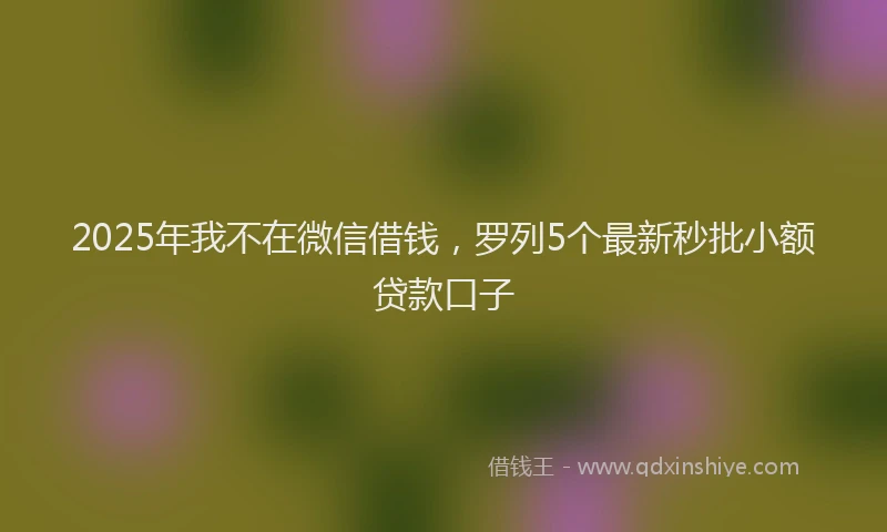 2025年我不在微信借钱，罗列5个最新秒批小额贷款口子