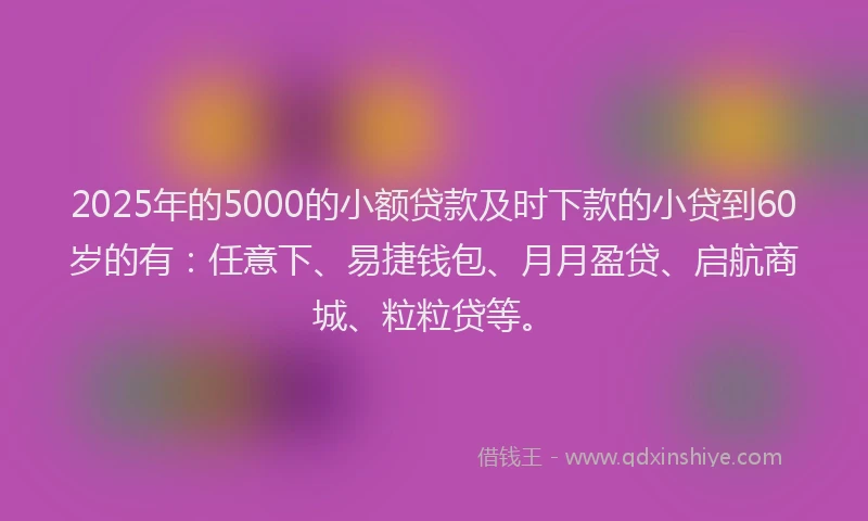 2025年的5000的小额贷款及时下款的小贷到60岁的有：任意下、易捷钱包、月月盈贷、启航商城、粒粒贷等。