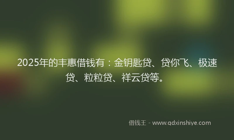 2025年的丰惠借钱有：金钥匙贷、贷你飞、极速贷、粒粒贷、祥云贷等。