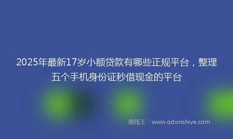 2025年最新17岁小额贷款有哪些正规平台，整理五个手机身份证秒借现金的平台