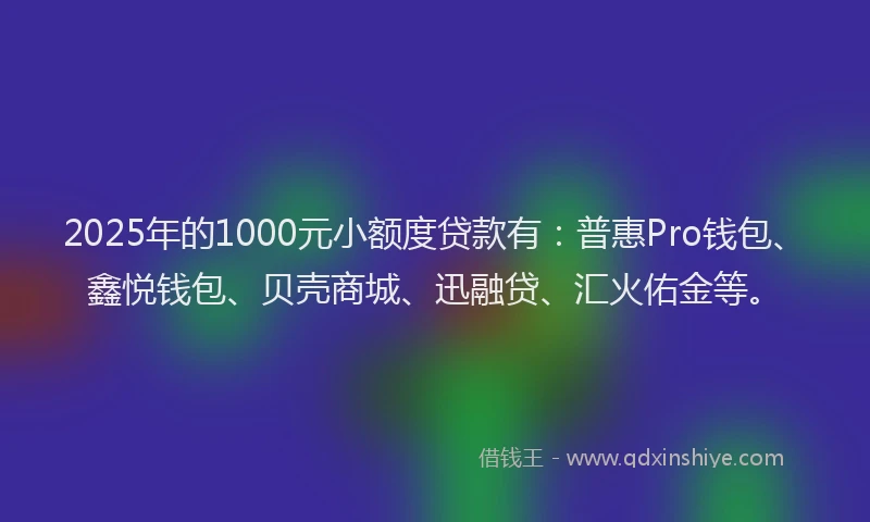 2025年的1000元小额度贷款有：普惠Pro钱包、鑫悦钱包、贝壳商城、迅融贷、汇火佑金等。