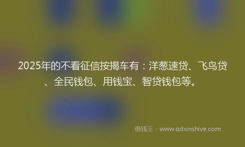 2025年的不看征信按揭车有：洋葱速贷、飞鸟贷、全民钱包、用钱宝、智贷钱包等。