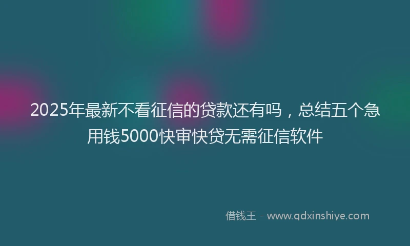 2025年最新不看征信的贷款还有吗，总结五个急用钱5000快审快贷无需征信软件