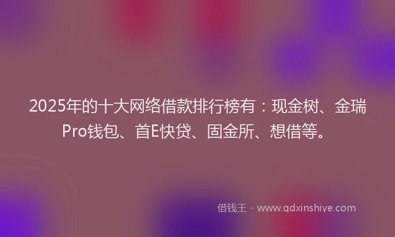 2025年的十大网络借款排行榜有：现金树、金瑞Pro钱包、首E快贷、固金所、想借等。