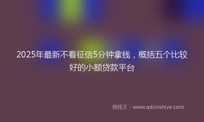 2025年最新不看征信5分钟拿钱，概括五个比较好的小额贷款平台