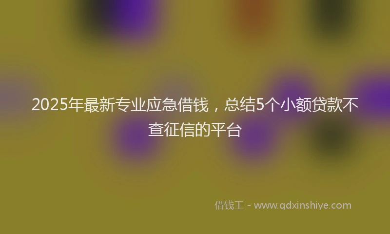 2025年最新专业应急借钱，总结5个小额贷款不查征信的平台