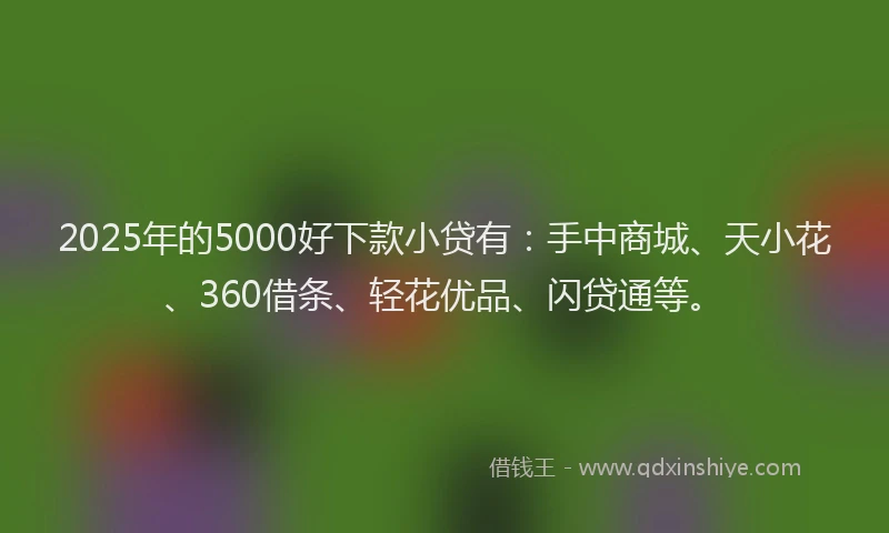 2025年的5000好下款小贷有：手中商城、天小花、360借条、轻花优品、闪贷通等。