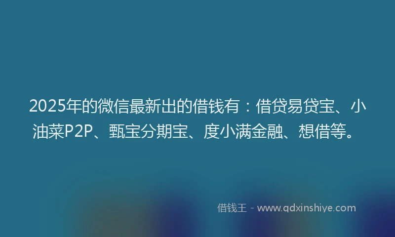 2025年的微信最新出的借钱有：借贷易贷宝、小油菜P2P、甄宝分期宝、度小满金融、想借等。