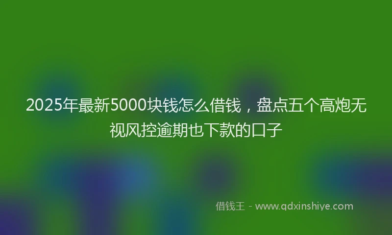 2025年最新5000块钱怎么借钱，盘点五个高炮无视风控逾期也下款的口子