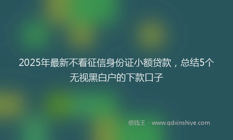 2025年最新不看征信身份证小额贷款，总结5个无视黑白户的下款口子