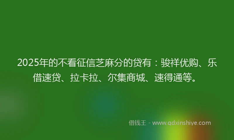 2025年的不看征信芝麻分的贷有：骏祥优购、乐借速贷、拉卡拉、尔集商城、速得通等。