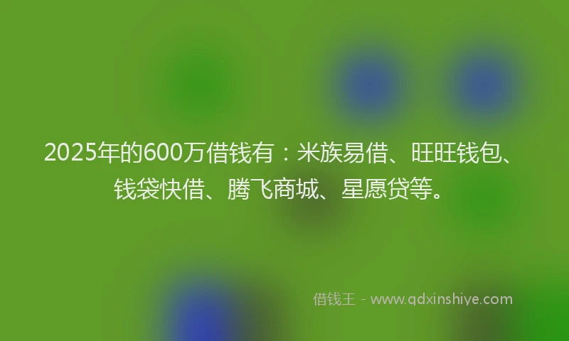 2025年的600万借钱有：米族易借、旺旺钱包、钱袋快借、腾飞商城、星愿贷等。