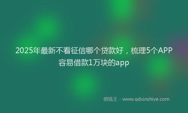 2025年最新不看征信哪个贷款好，梳理5个APP容易借款1万块的app