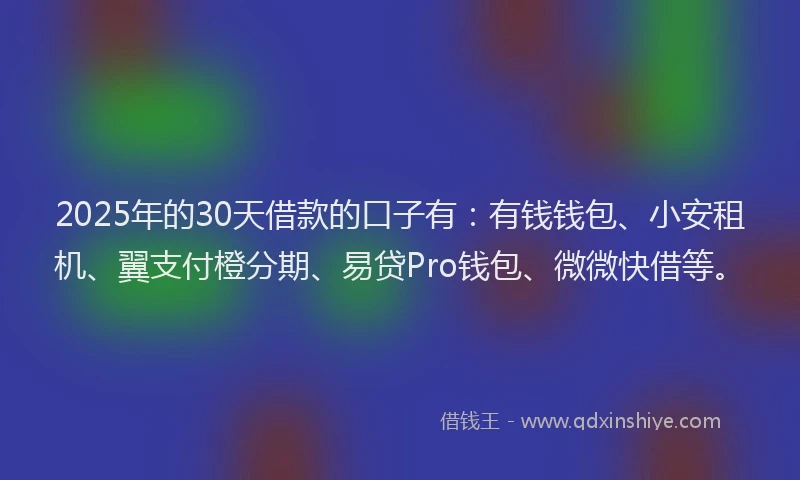 2025年的30天借款的口子有：有钱钱包、小安租机、翼支付橙分期、易贷Pro钱包、微微快借等。