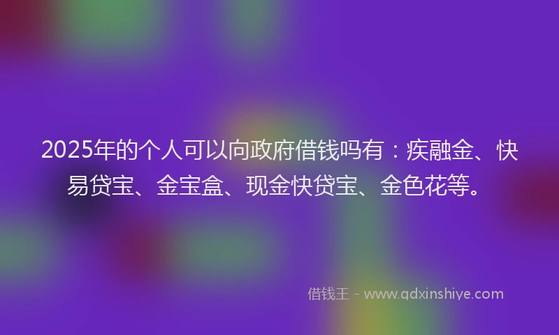 2025年的个人可以向政府借钱吗有：疾融金、快易贷宝、金宝盒、现金快贷宝、金色花等。