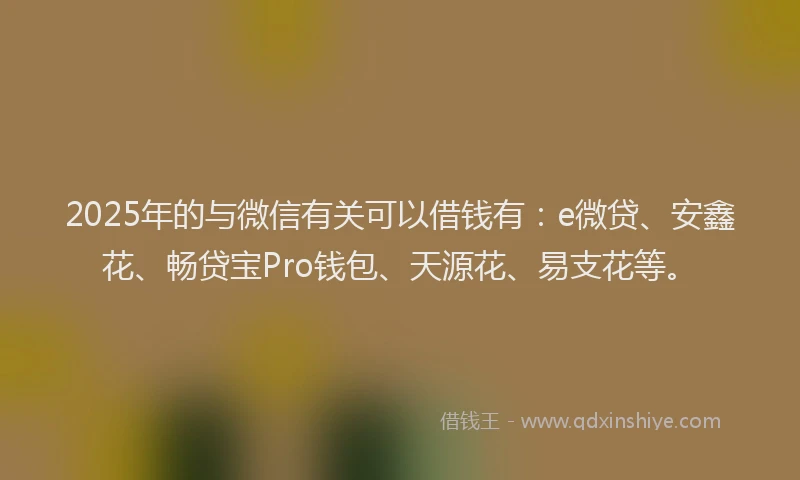 2025年的与微信有关可以借钱有：e微贷、安鑫花、畅贷宝Pro钱包、天源花、易支花等。