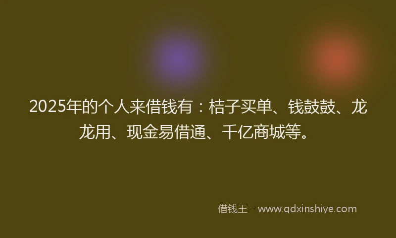 2025年的个人来借钱有：桔子买单、钱鼓鼓、龙龙用、现金易借通、千亿商城等。