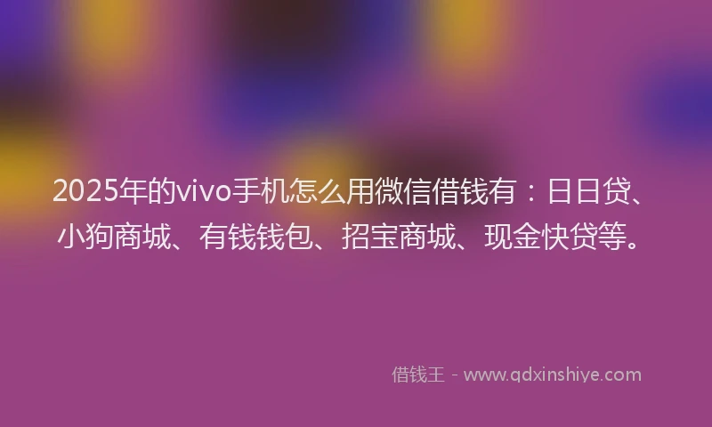 2025年的vivo手机怎么用微信借钱有：日日贷、小狗商城、有钱钱包、招宝商城、现金快贷等。