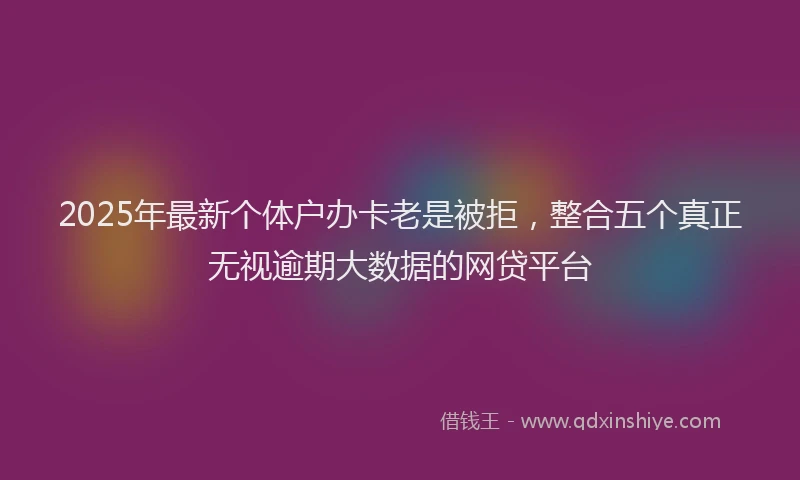 2025年最新个体户办卡老是被拒，整合五个真正无视逾期大数据的网贷平台