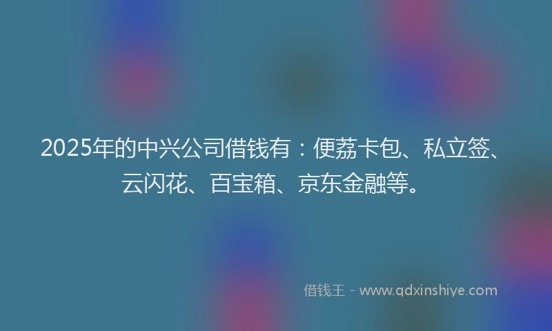 2025年的中兴公司借钱有：便荔卡包、私立签、云闪花、百宝箱、京东金融等。
