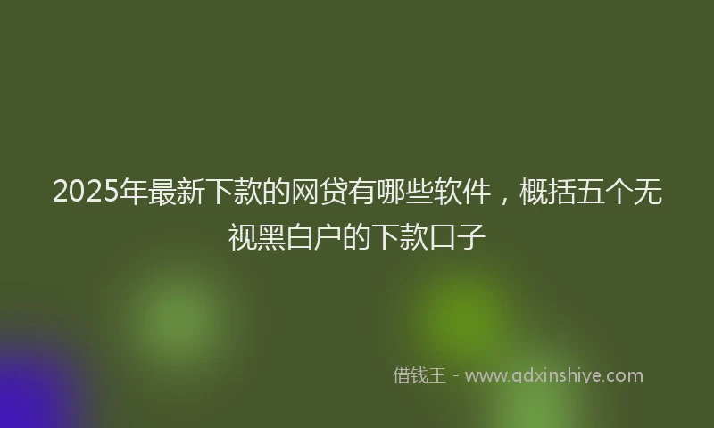 2025年最新下款的网贷有哪些软件，概括五个无视黑白户的下款口子