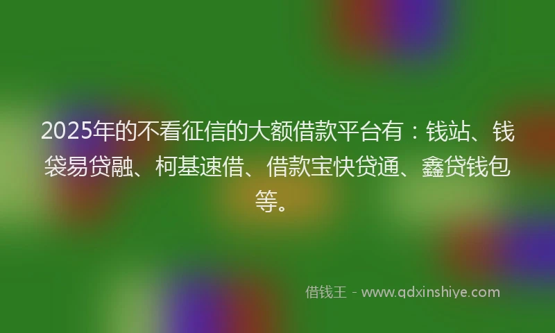 2025年的不看征信的大额借款平台有：钱站、钱袋易贷融、柯基速借、借款宝快贷通、鑫贷钱包等。