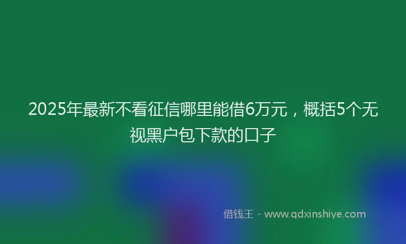 2025年最新不看征信哪里能借6万元，概括5个无视黑户包下款的口子