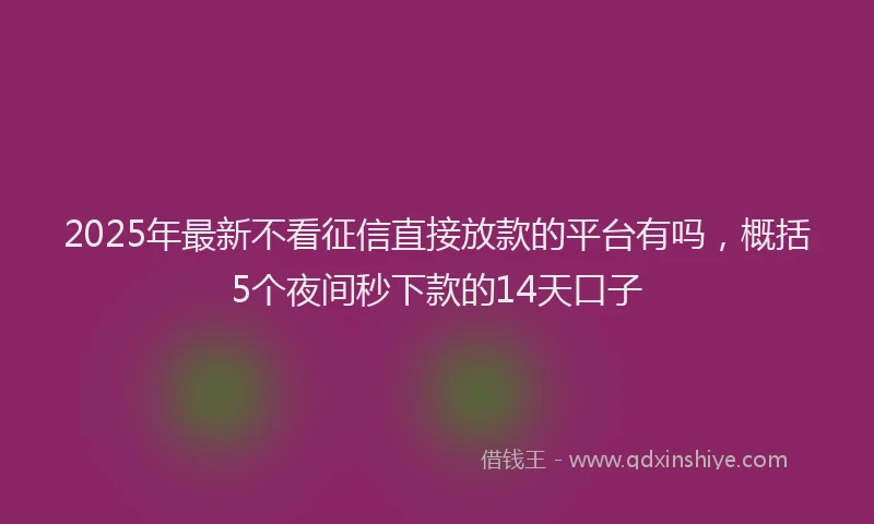 2025年最新不看征信直接放款的平台有吗，概括5个夜间秒下款的14天口子
