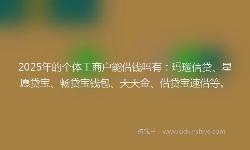 2025年的个体工商户能借钱吗有：玛瑙信贷、星愿贷宝、畅贷宝钱包、天天金、借贷宝速借等。