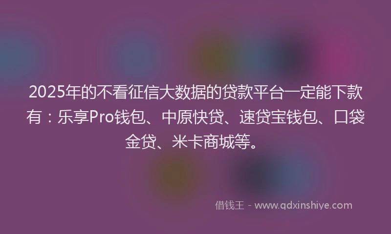 2025年的不看征信大数据的贷款平台一定能下款有：乐享Pro钱包、中原快贷、速贷宝钱包、口袋金贷、米卡商城等。